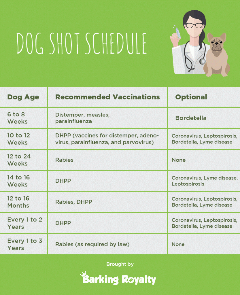 Puppy Vaccination Schedule » Idaho Jacobson Kennel